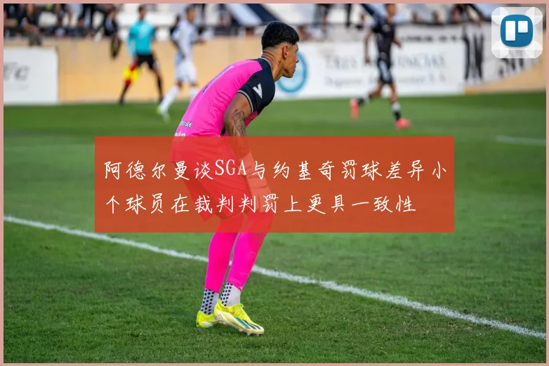 阿德尔曼谈SGA与约基奇罚球差异小个球员在裁判判罚上更具一致性